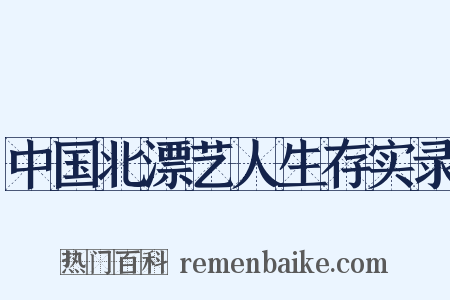 中国北漂艺人生存实录是什么意思的图片